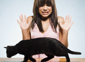 Боязнь кошек: как преодолеть айлурофобию