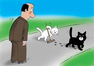 Суеверность человека к кошкам