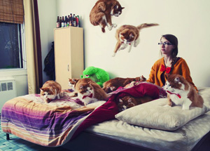 Патологическое собирание животных в квартире: что движет «коллекционером»