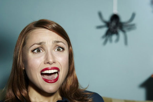 Арахнофобия: как преодолеть страх пауков