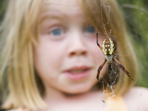 Знакомство с пауком в детстве